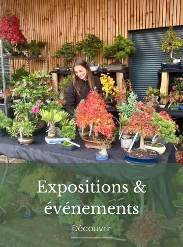 Expositions & évènements